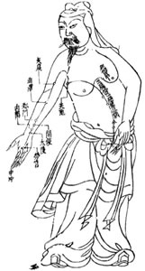 acupuncture chart