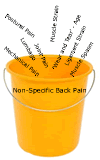 non specific back pain bucket diagnosis