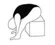 exercise for back pain - stretching