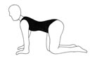 exercise for back pain -  extension