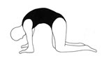 exercise for back pain - stretching