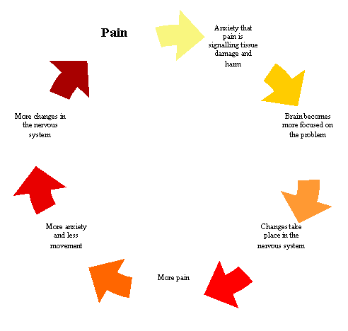 Pain Cycle Diagram
