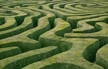 maze