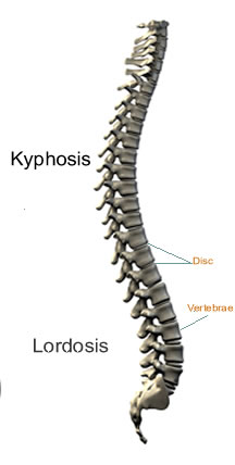 normal-posture