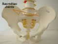 pregnancy and back pain