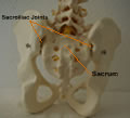 pregnancy and back pain sacroiliac joint