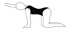 core stability exercises