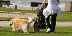 walking